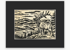The Adirondack Wildlife Collection | Complete Set of Three