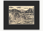 The Adirondack Wildlife Collection | Complete Set of Three